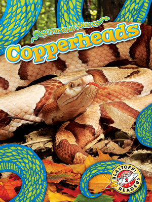cover image of Copperheads